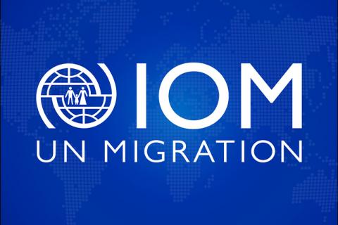 IOM Condemns Recent Violence in Libyan Detention Centre