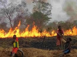 29 feux de brousse ravagent 5.491 ha cette année au Sénégal : Le MEDD appelle à la vigilance.