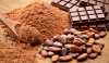 Côte d’Ivoire : plus de 100 millions dollars pour la construction d’une usine de cacao