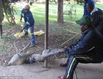 croco zimbabwe-10.jpg