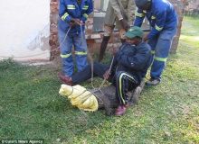 croco zimbabwe-9.jpg
