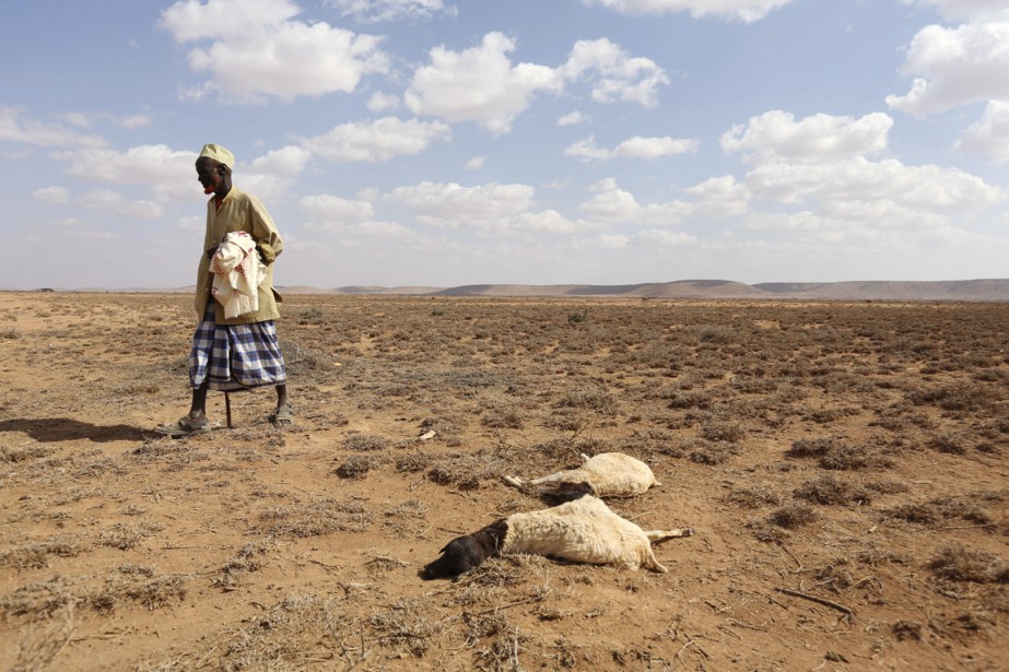 Renforcement de la résilience de l’agriculture en Afrique face au changement climatique la banque mondiale décaisse 60 millions de dollar Renforcement de la résilience de l’agriculture en Afrique face au changement climatique la banque mondiale décaisse 60 millions de dollar