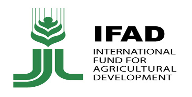 L'Éthiopie et le Fonds international de développement agricole (FIDA) aident les familles à s’adapter aux chocs climatiques grâce à un nouveau projet de plusieurs millions de dollars L'Éthiopie et le Fonds international de développement agricole (FIDA) aident les familles à s’adapter aux chocs climatiques grâce à un nouveau projet de plusieurs millions de dollars