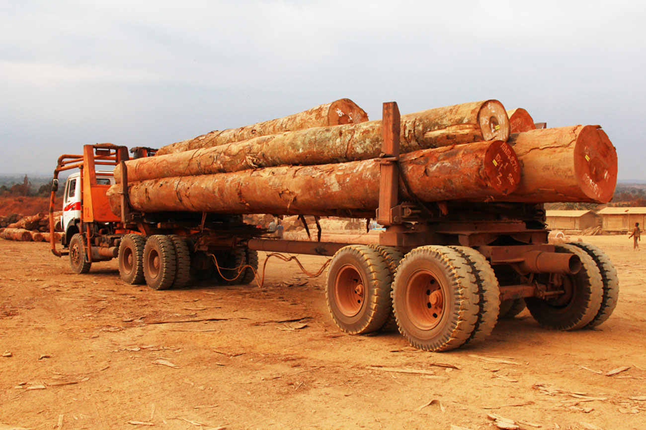 LA GAMBIE DONNE DES GAGES CONTRE LE TRAFIC DE BOIS DE LA CASAMANCE 22 containers saisis, un suspect arrêté