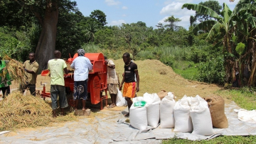Libéria : le Groupe de la Banque africaine de développement approuve un financement de 5,12 millions de dollars pour le Programme de production alimentaire d’urgence