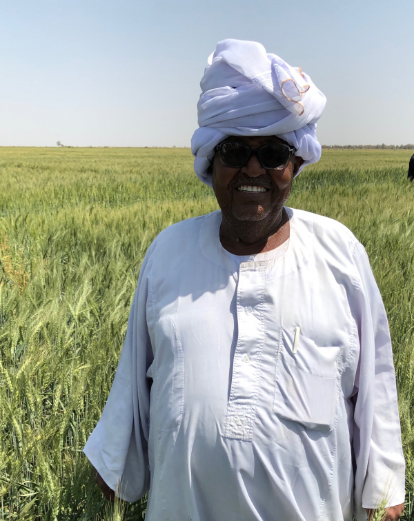 Soudan : Prêt de 74 millions $ de la Banque africaine de développement pour booster la production de blé