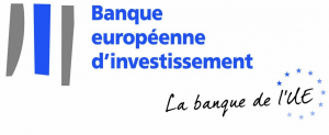 Afrique - COP 27 : la BEI renforcera son soutien aux projets de transition juste dans le monde